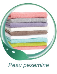 Pesu pesemine